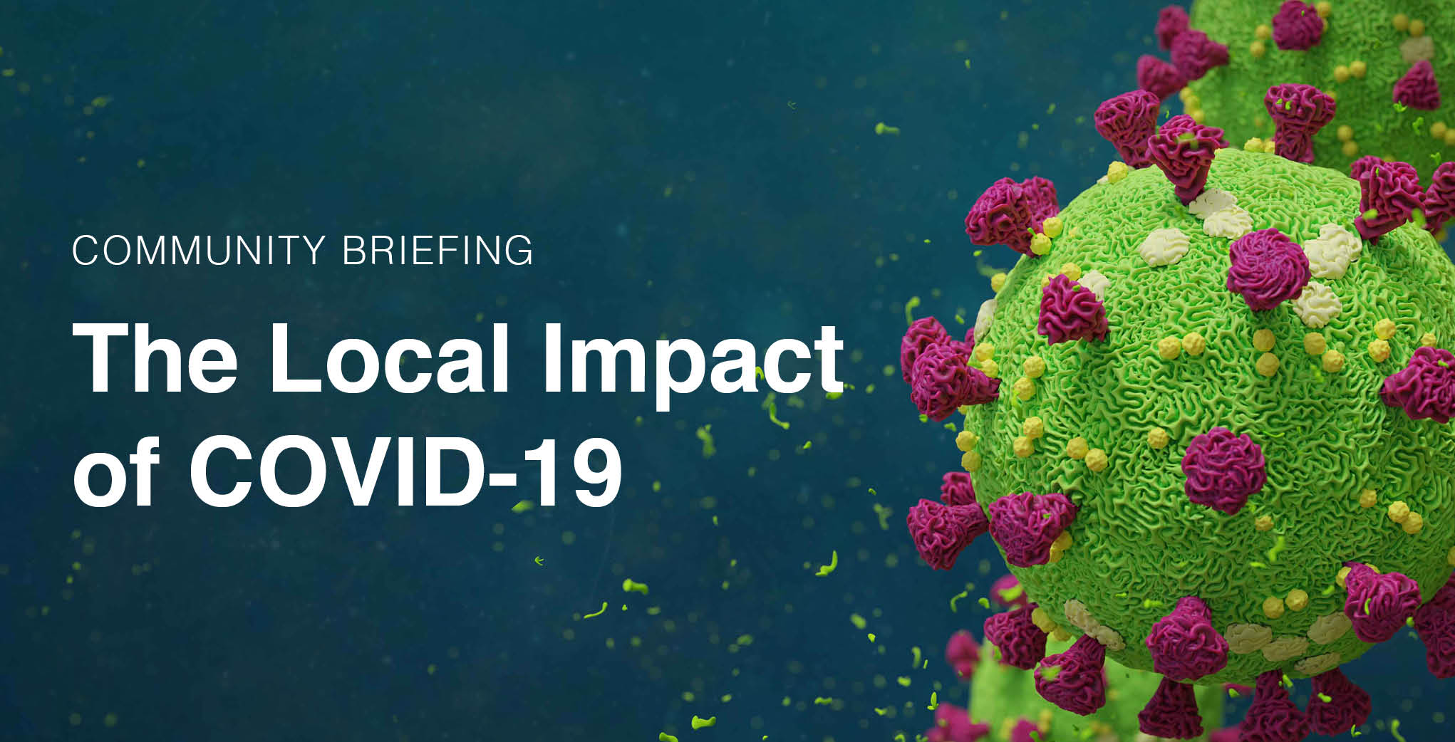 Community Briefing: The Local Impact of COVID-19