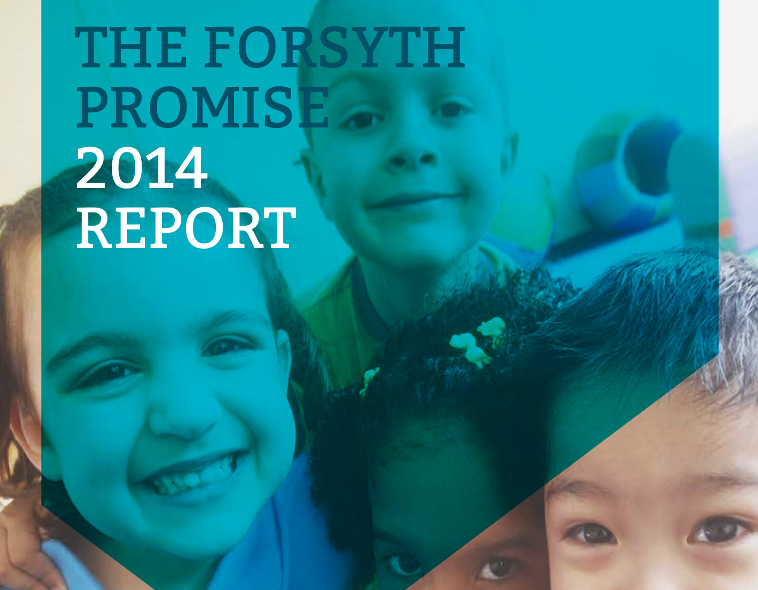 The 2014 Forsyth Promise Community Education Report for Forsyth County