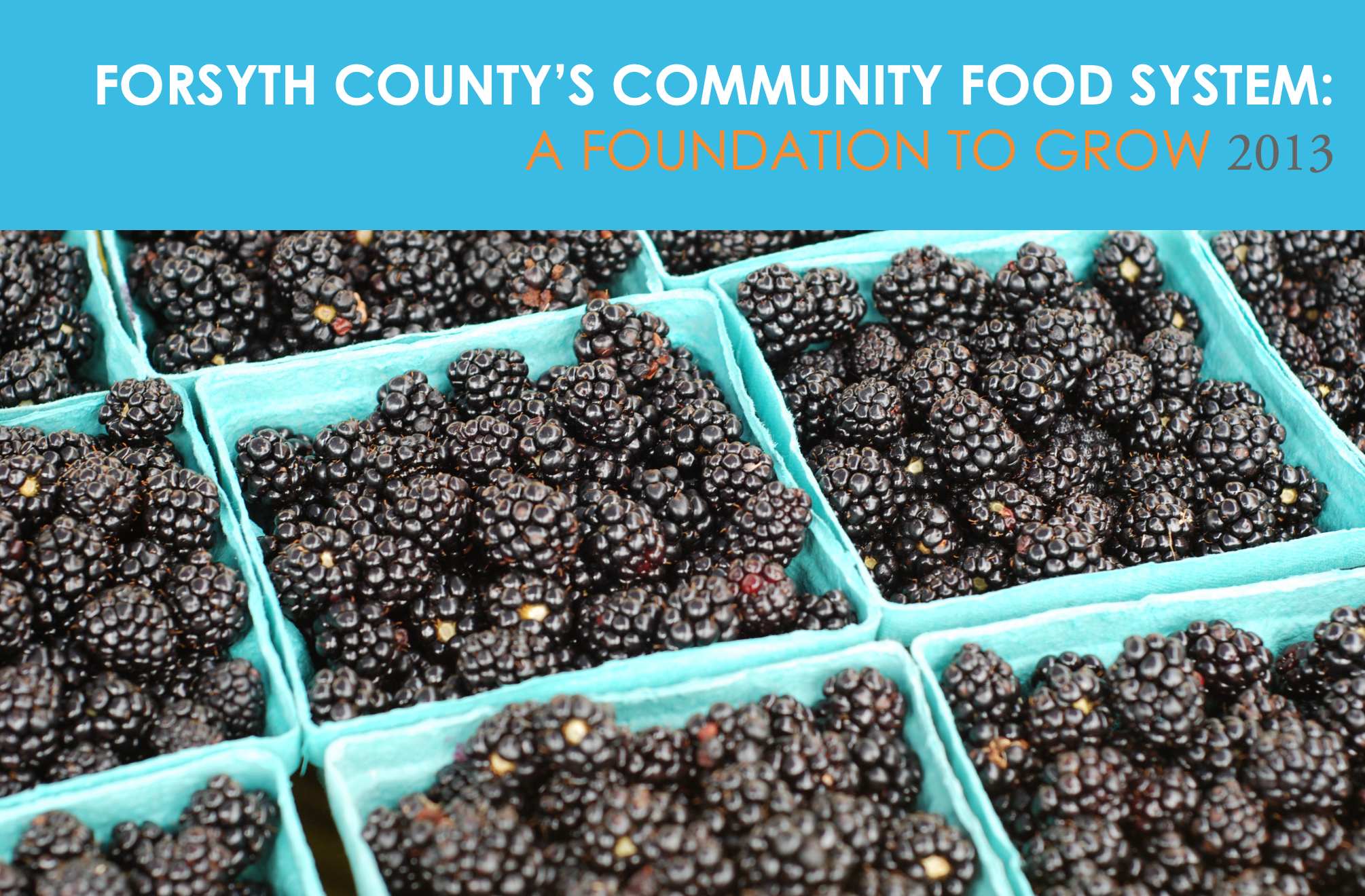 Forsyth County Community Food System