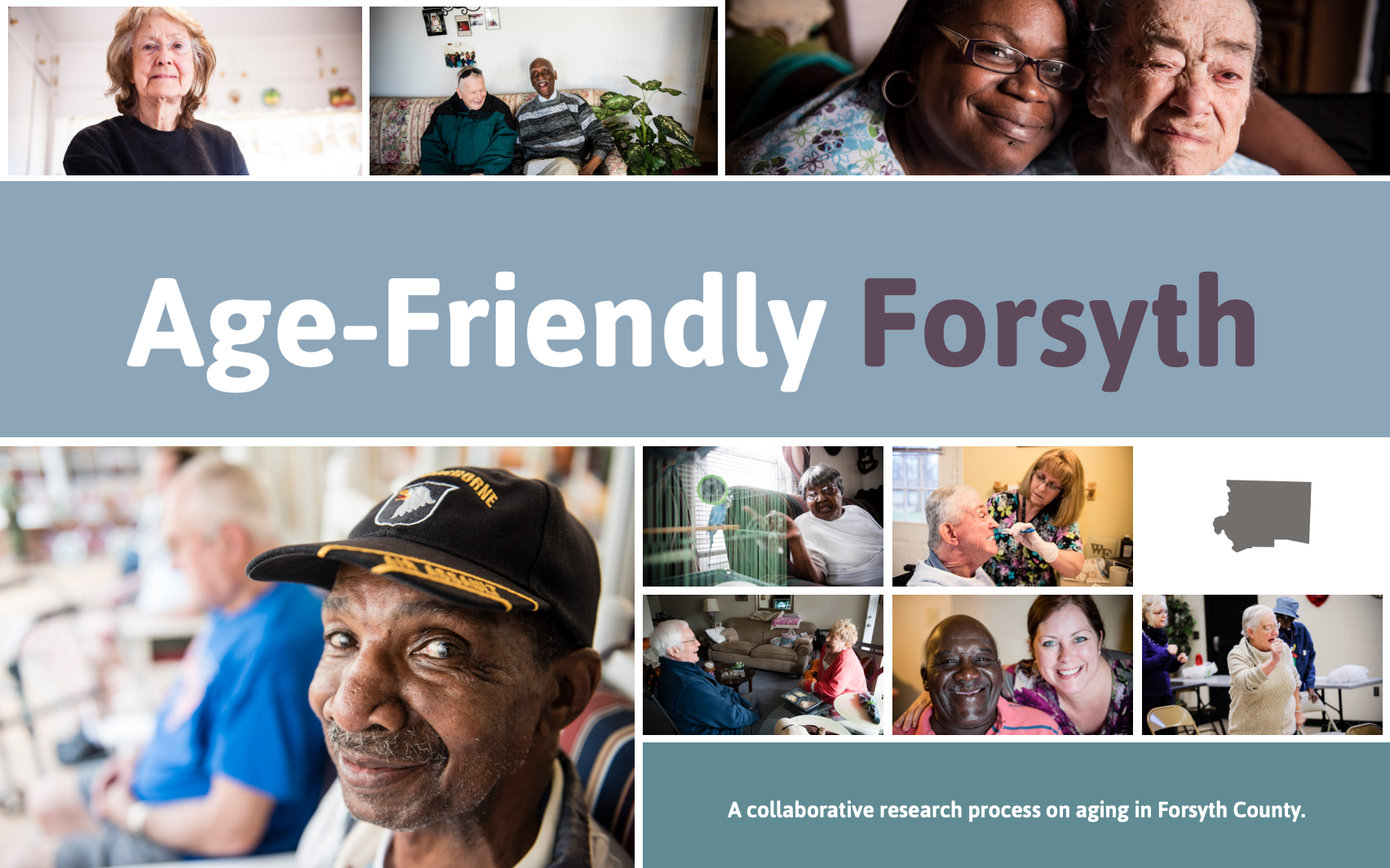 Age-Friendly Forsyth 2017 Community Report